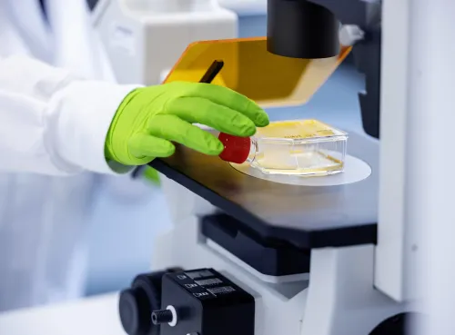 Detail image from lab