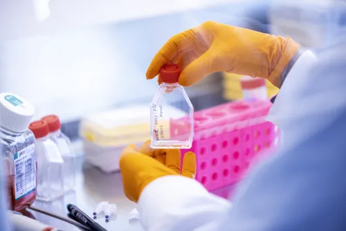 Detail image from lab