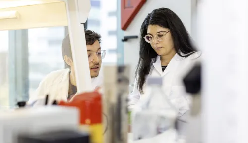 Detail image from lab