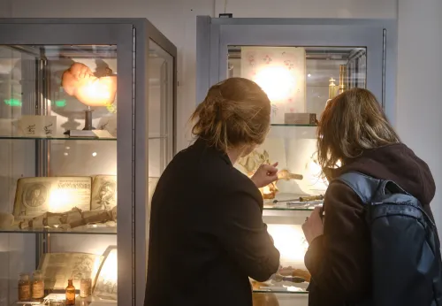 Exhibition Fragility of Life, KIB Solna