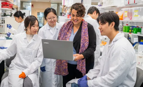 The research team behind the study (from left) Xiaona Feng, Kaiwen Xhan, Saida Hadjab and Prach Techameena at Hadjab Lab.