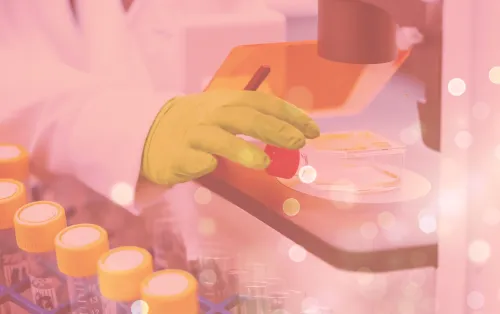 Research image from lab