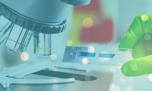 Research image from lab