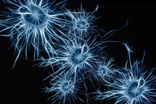 several brain cells illustrated on a dark background.
