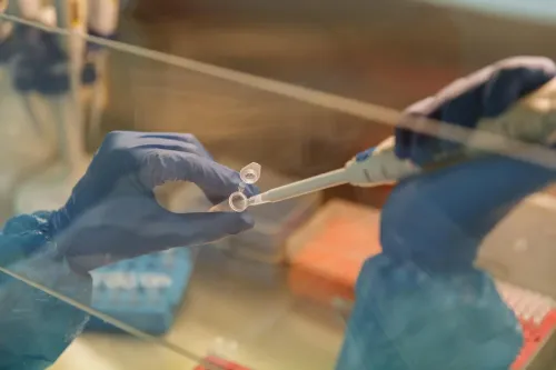 Decorative picture of hands pipetting.