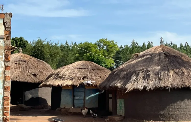 Huts in Uganda